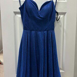 Royal Blue Sparkly Dress